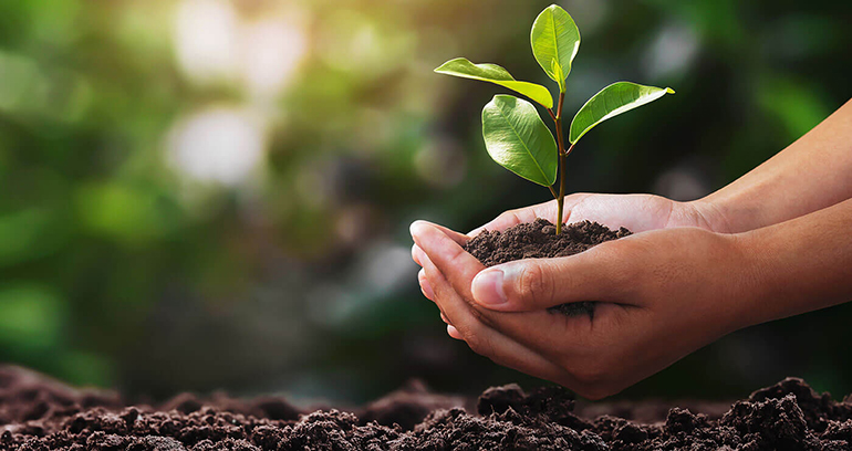 Feique apoya las propuestas del Parlamento Europeo sobre los Green Claims