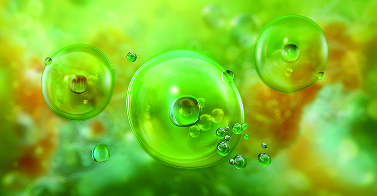 Producción eficiente de biogás en un digestor mediante compresores de rotores de uña fiables