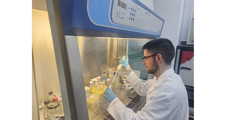 Nuevos avances en Andalucía: obtención de hidrógeno gracias a bacterias y residuos de biodiésel