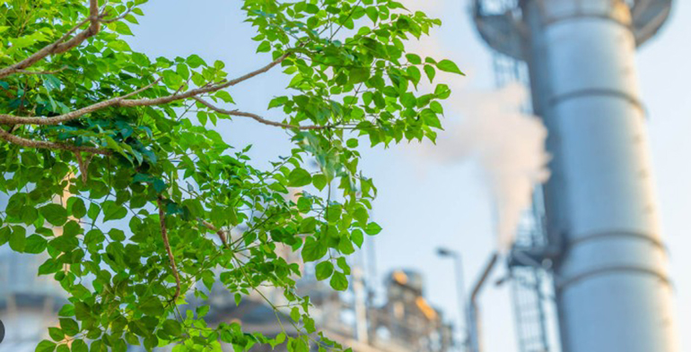 La CE aprueba finalmente el tercer plan español de ayudas para impulsar la producción de energía