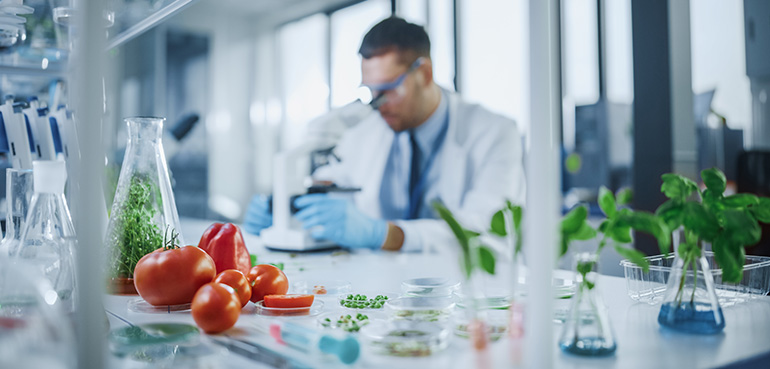 Un informe advierte ante la posible presencia de “químicos permanentes” en alimentos habituales en Europa