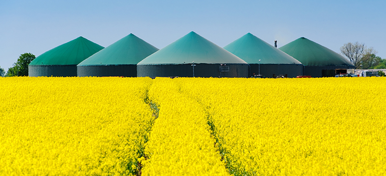 SEEPEX: producción sostenible de energía a través del biogás