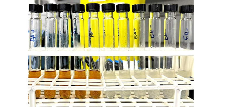 Científicos de Escocia crean un método para obtener hidrógeno mediante bacterias alimentadas con residuos de pan