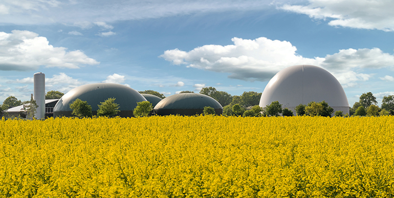 Edison Next adquiere a Iberdrola sus plantas de cogeneración para el tratamiento de purines y proyectos de biometano