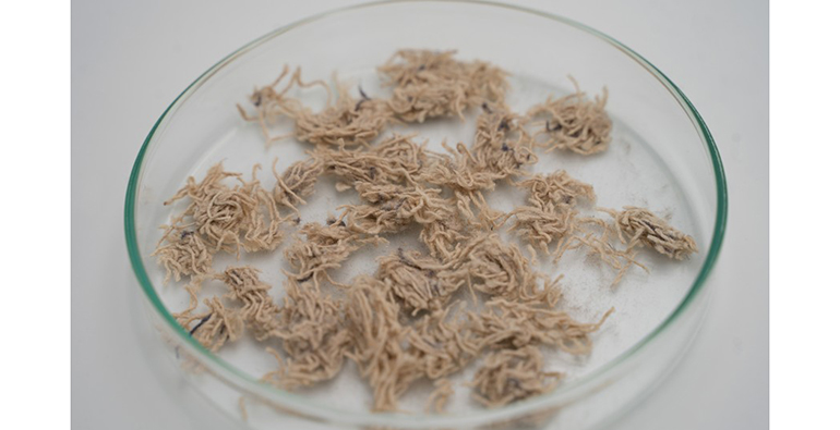 ITENE impulsa el reciclaje textil de alta eficiencia para su uso en packaging e industria química