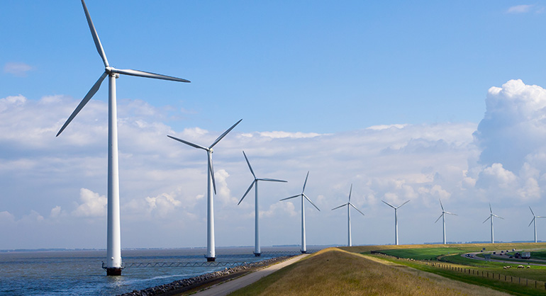 Cataluña buscar liderar la transición energética con un modelo fotovoltaico respetuoso con la biodiversidad 