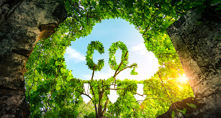 La Junta de Andalucía impulsa la descarbonización como oportunidad estratégica para el desarrollo económico y energético