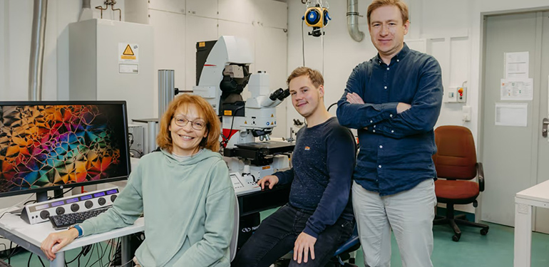 Investigadores físicos desarrollan un líquido multiferroico con orden magnético y eléctrico espontáneo