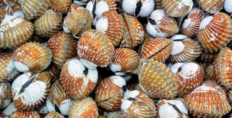 AESAN logra la primera acreditación para ensayos de biotoxinas marinas en moluscos bivalvos