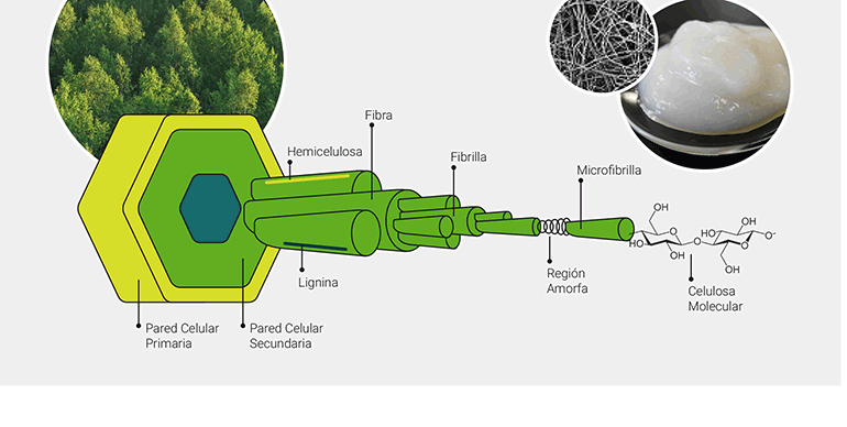 nanocelulosa,itene, celulosa