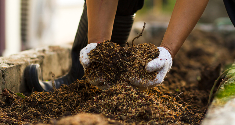 NEIKER coordina la iniciativa europea SEA2LAND para transformar subproductos de la pesca en biofertilizantes