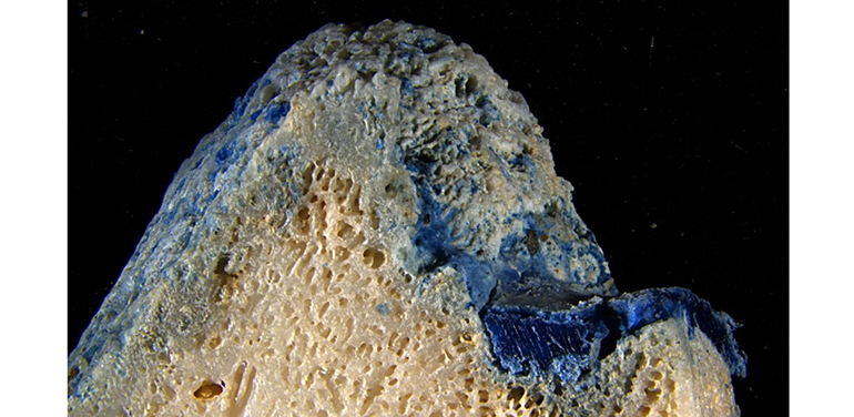 El ´plasticoral´ revela una nueva forma de contaminación plástica en los arrecifes