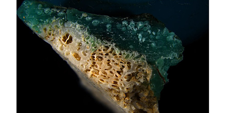 El &acute;plasticoral&acute; revela una nueva forma de contaminación plástica en los arrecifes