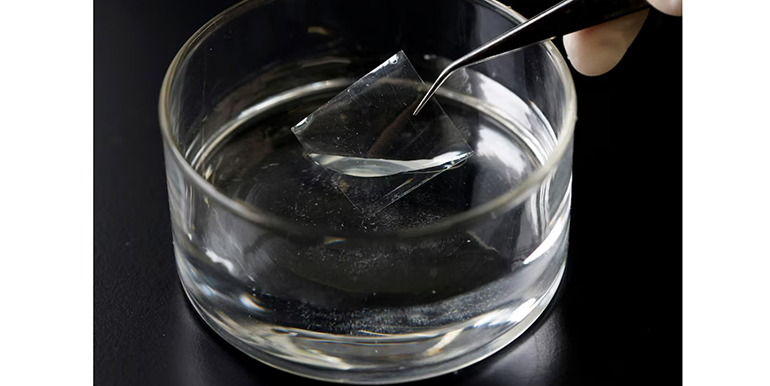 Poliamida PA6F: un innovador material que promete eliminar los PFAS del agua