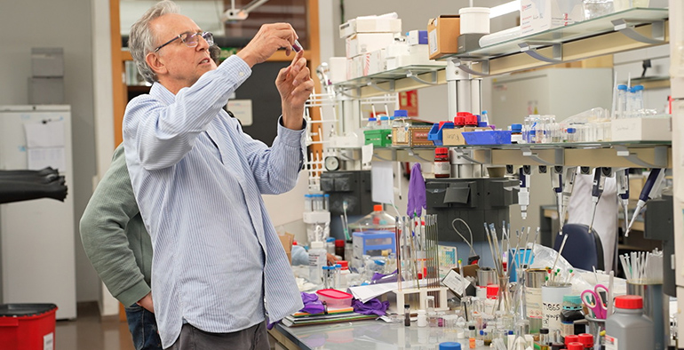 QMol explora nuevas formas de procesar información aprovechando las propiedades únicas de las moléculas