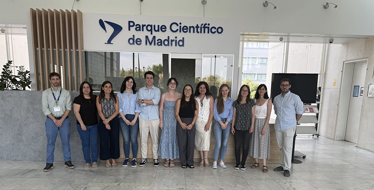 Finaliza el proyecto RECIPOL con buenos resultados en el campo de la obtención y reciclaje de espumas de PU biobasadas