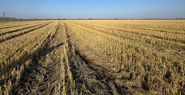 RIC Energy acuerda construir una cartera de 54MW de energía solar en Italia
