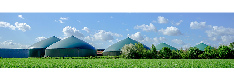 SEEPEX: producción sostenible de energía a través del biogás