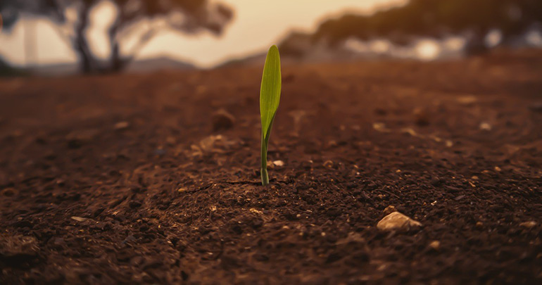 Ence Biogas firma un contrato con Sener para la ingeniería de seis plantas de biometano