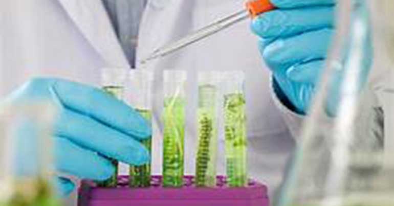 Biotecnologica BIOM altamente disruptiva para impulsar los biocombustibles