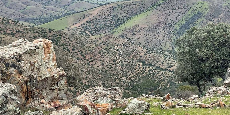 Alianza entre Técnicas Reunidas y Osmond para desarrollar la mayor planta de tierras raras de la UE