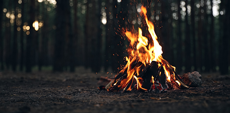 Málaga acoge una nueva edición del foro nacional sobre protección contra incendios