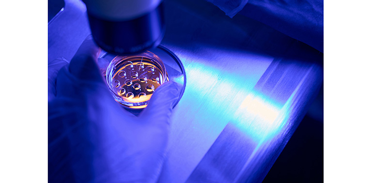 Un nanomaterial desarrollado en Irán logra eliminar más del 92% de los residuos de antibióticos del agua