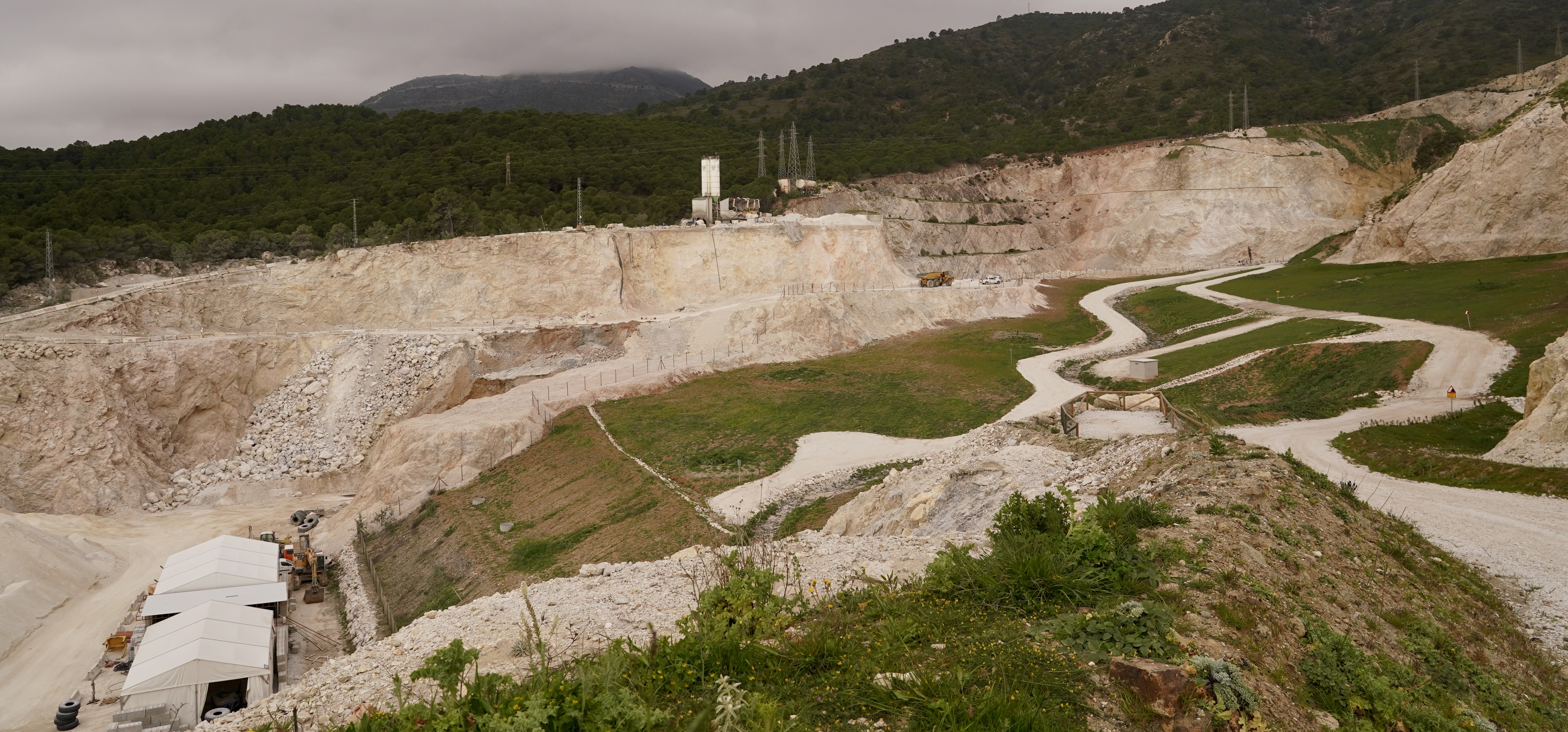 Andalucía ejecuta dos nuevas licitaciones para dos proyectos de absorción de CO2 en Huelva y Jaén