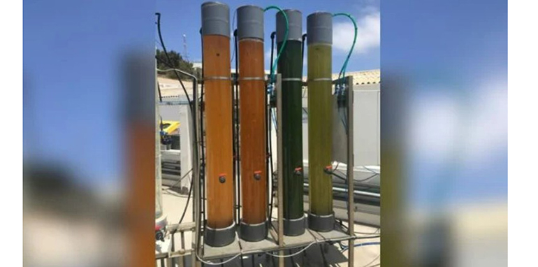 Una patente en EE.UU impulsa a la ciencia española: convierten aguas residuales en biomasa de alto valor con microalgas